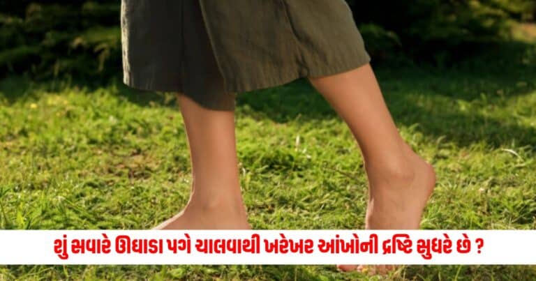 Walk On Green Grass For Eyes: શું સવારે ઊઘાડા પગે ચાલવાથી ખરેખર આંખોની દ્રષ્ટિ સુધરે છે ? જાણો શું છે હકીકત