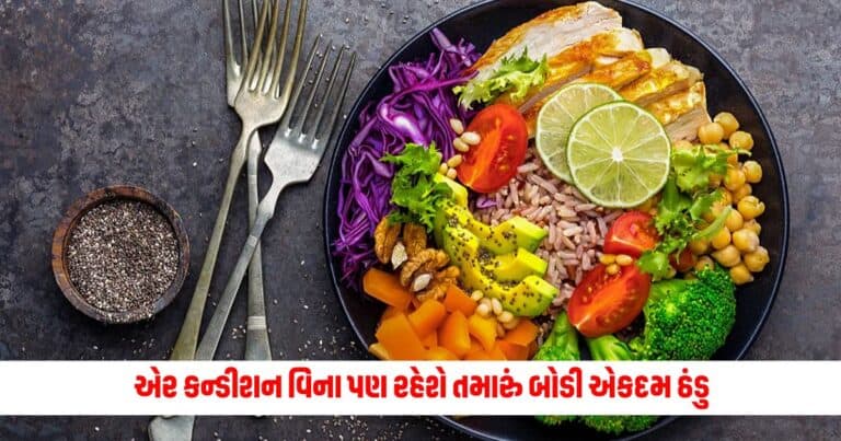 Health Tips : એર કન્ડીશન વિના પણ રહેશે તમારું બોડી એકદમ ઠંડુ , સવારના નાસ્તાથી લઈને રાત્રિભોજન સુધી કરો આ કામ.