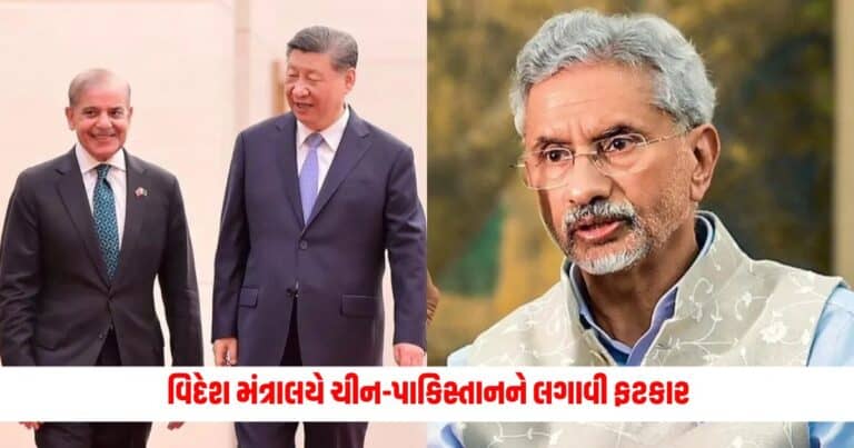 India Slams China Pakistan: વિદેશ મંત્રાલયે ચીન-પાકિસ્તાનને લગાવી ફટકાર, કહ્યું- કાશ્મીર પર અન્ય દેશોની દખલગીરી સહન નહીં થાય...