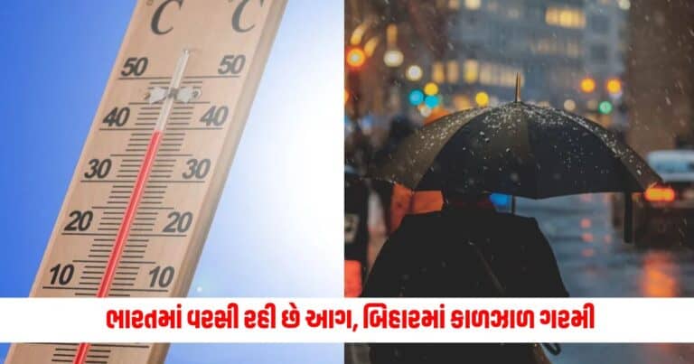 Weather Updates: ભારતમાં વરસી રહી છે આગ, બિહારમાં કાળઝાળ ગરમીએ લીધો 10 લોકોનો જીવ