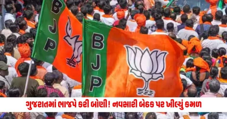 Loksabha Election Result 2024: ગુજરાતમાં ભાજપે કરી બોણી! નવસારી બેઠક પર ખીલ્યું કમળ, કોંગ્રેસે સ્વીકારી હાર