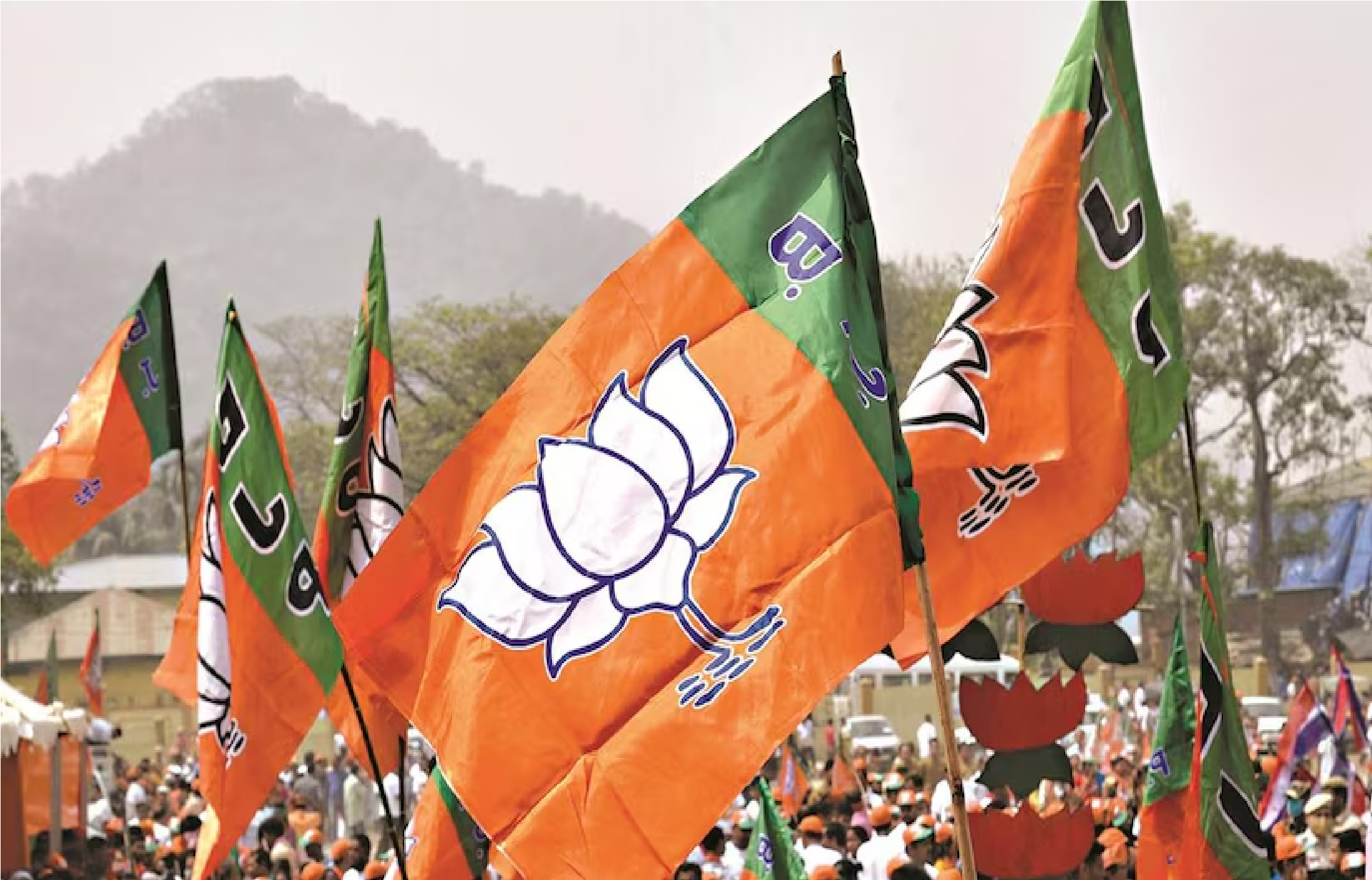 Lok Sabha Election Result 2024: ગુજરાતમાં ફરી ભગવાનો દબદબો, ભાજપના આ ઉમેદવારો સત્તત જીત તરફ, કોનો રહેશે દબદબો