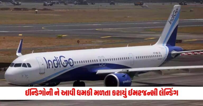 Indigo Bomb Threat: ઈન્ડિગોની ચેન્નાઈ-મુંબઈ ફ્લાઈટને આવી ધમકી મળતા કરાયું ઈમરજન્સી લેન્ડિંગ, તમામ મુસાફરો સુરક્ષિત