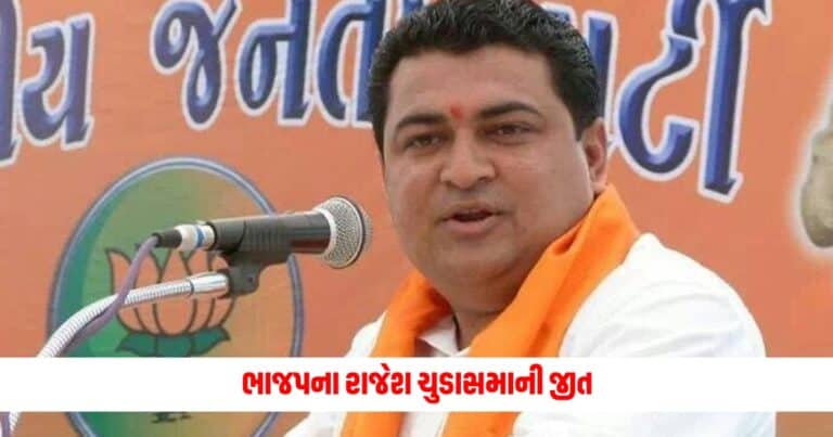 Junagadh Lok Sabha Election 2024: જૂનાગઢ બેઠક છવાયો ભગવો, ભાજપના રાજેશ ચુડાસમાની જીત