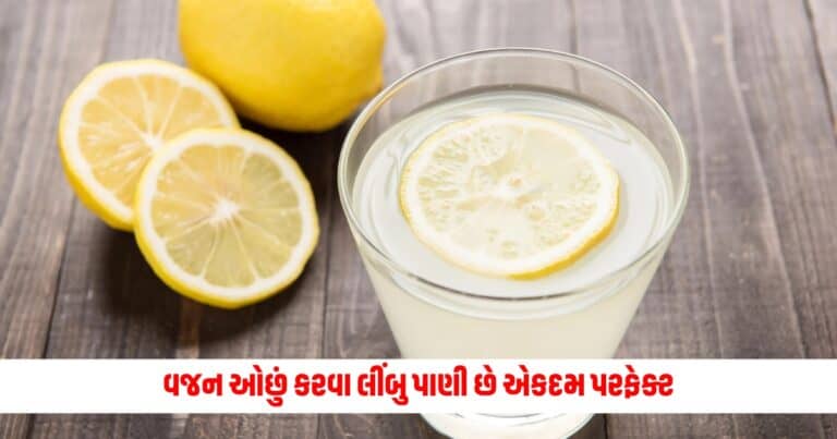 Lemon Water : વજન ઓછું કરવા લીંબુ પાણી છે એકદમ પરફેક્ટ, જાણો તેના ફાયદા અને તેને ઘરે કેવી રીતે બનાવશો.