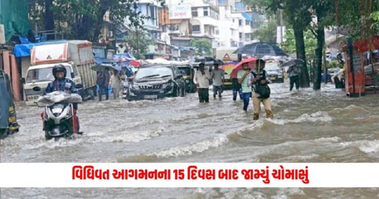 Weather Update : વિધિવત આગમનના 15 દિવસ બાદ જામ્યું ચોમાસું.. રવિવારે રાજ્યના 66 તાલુકામાં વરસ્યો વરસાદ... સૌથી વધુ જૂનાગઢના મેંદરડામાં પડ્યો