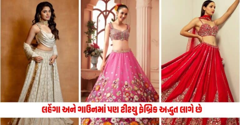 Fashion Tips: માત્ર સાડીઓ જ નહીં, લહેંગા અને ગાઉનમાં પણ ટીશ્યુ ફેબ્રિક અદ્ભુત લાગે છે