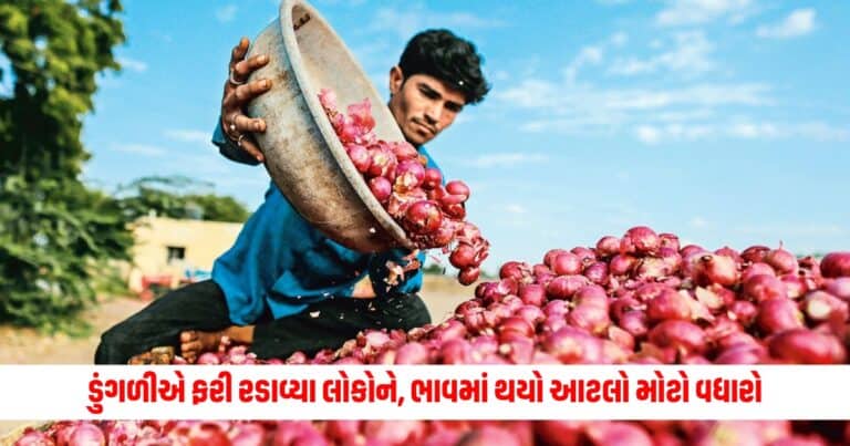 Onion Price: ડુંગળીએ ફરી રડાવ્યા લોકોને, ભાવમાં થયો આટલો મોટો વધારો, સામાન્ય માણસનું ખોરવાયું બજેટ