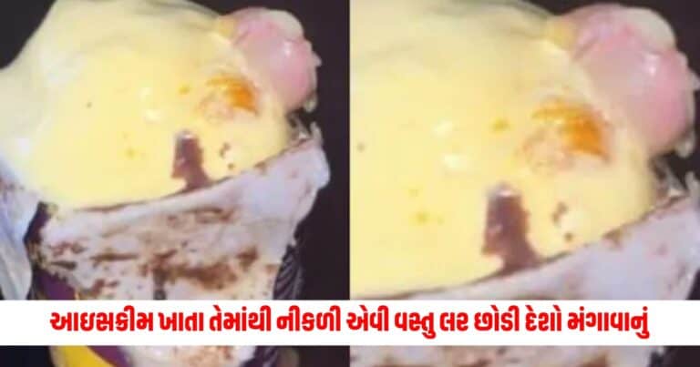 Mumbai Ice Cream Case: ઓનલાઈન મંગાવી હતી આઇસક્રીમ, ખાતા ખાતા તેમાંથી નીકળી એવી વસ્તુ લર છોડી દેશો મંગાવાનું