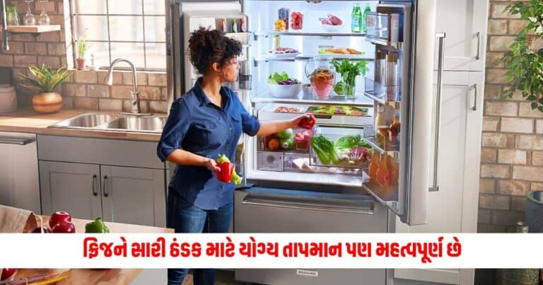 Fridge Temperature: ફ્રિજને સારી ઠંડક માટે યોગ્ય તાપમાન પણ મહત્વપૂર્ણ છે, ઉનાળામાં ચોક્કસપણે અનુસરો આ ટિપ્સ