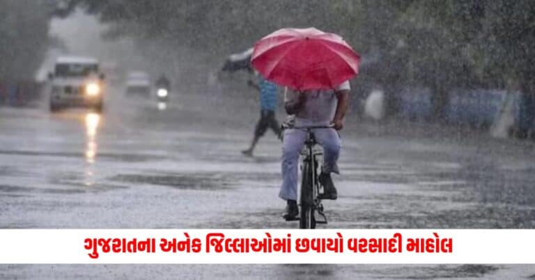 Gujarat Monsoon : ગુજરાતના અનેક જિલ્લાઓમાં છવાયો વરસાદી માહોલ, જાણો હવામાન વિભાગની આગાહી