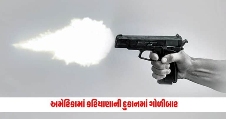 America Shooting Attack: અમેરિકામાં કરિયાણાની દુકાનમાં ગોળીબાર,3ના મોત, 10 ઘાયલ