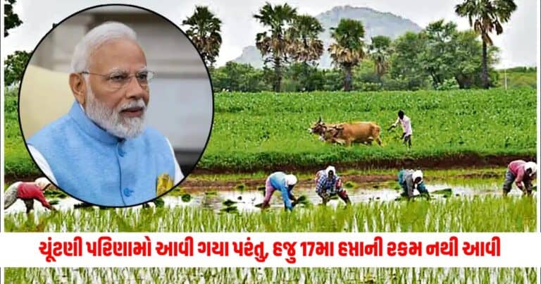 PM Kisan Samman Nidhi Yojana: ચૂંટણીના પરિણામો પણ આવી ગયા પરંતુ, હજુ સુધી 17મા હપ્તાની રકમ નથી આવી