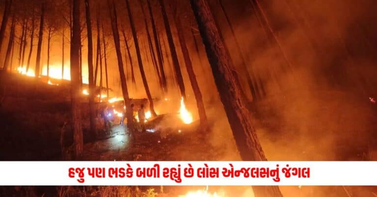 US Forest Fire: હજુ પણ ભડકે બળી રહ્યું છે લોસ એન્જલસનું જંગલ, કરાયું આટલા લોકોનું સ્થળાંતર