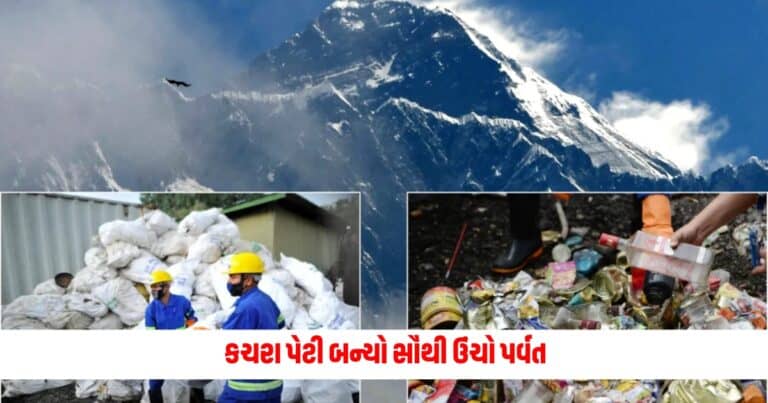 Mount Everest : કચરા પેટી બન્યો સૌથી ઉંચો પર્વત, કચરો હટાવતા મળી એવી વસ્તુઓ કે ઉડી ગયા લોકોના હોંશ