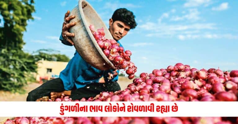 Onion Price : ડુંગળીના ભાવ લોકોને રોવળાવી રહ્યા છે, ક્યાં કારણથી વધી રહ્યો છે આટલા ભાવ?