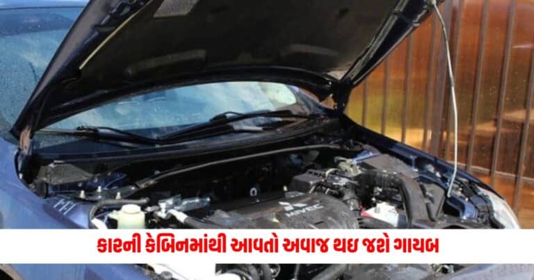 Car Tips : કારની કેબિનમાંથી આવતો અવાજ થઇ જશે ગાયબ