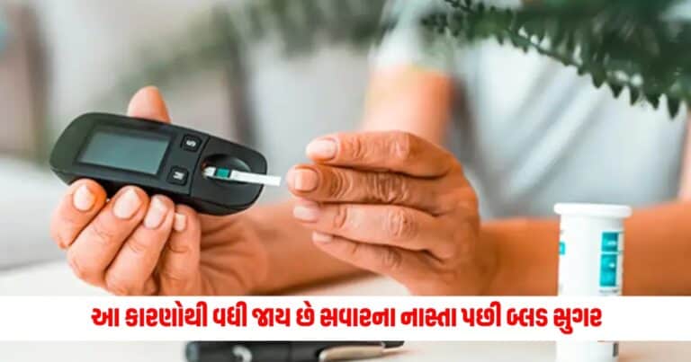 Blood Sugar Spike : આ કારણોથી વધી જાય છે સવારના નાસ્તા પછી બ્લડ સુગર, તેનાથી બચવા રાખો આ 5 બાબતોનું ધ્યાન