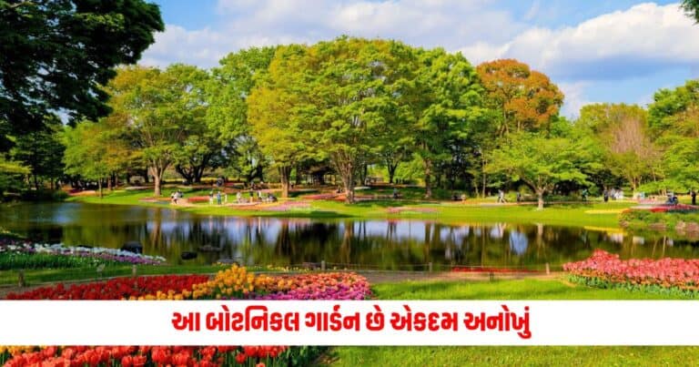 Amazing Botanical Garden : આ બોટનિકલ ગાર્ડન છે એકદમ અનોખું, આ આકારનો પુલ દરેકને આકર્ષે છે અને અંધ લોકો માટે છે ખાસ વ્યવસ્થા