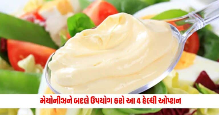 Healthy Substitutes of Mayonnaise : મેયોનીઝને બદલે ઉપયોગ કરો આ 4 હેલ્ધી ઓપ્શન, સ્વાદની સાથે સ્વાસ્થ્યને પણ મળશે અગણિત ફાયદા.