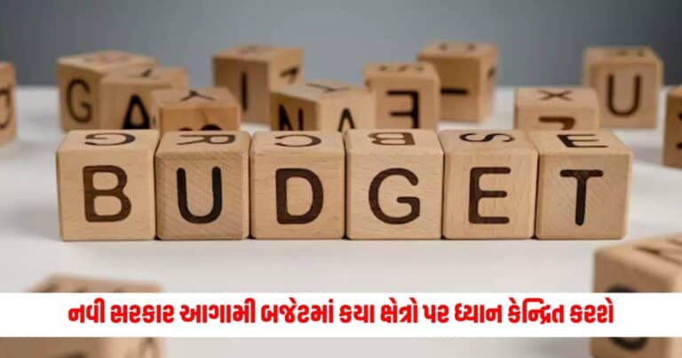 Union Budget 2024-25: નવી સરકાર આગામી બજેટમાં કયા ક્ષેત્રો પર ધ્યાન કેન્દ્રિત કરશે, જાણો નિષ્ણાતો શું કહે છે