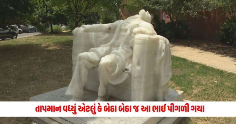 Heat Wave : બાપ રે ગરમીએ તો બૌ કર્યું હો! તાપમાન વધ્યું એટલું કે બેઠા બેઠા જ આ ભાઈ પીગળી ગયા