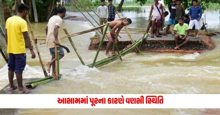 Assam Flood: આસામમાં પૂરના કારણે વણસી સ્થિતિ, કરીમગંજમાં ભૂસ્ખલનથી પાંચ લોકોએ ગુમાવ્યો જીવ