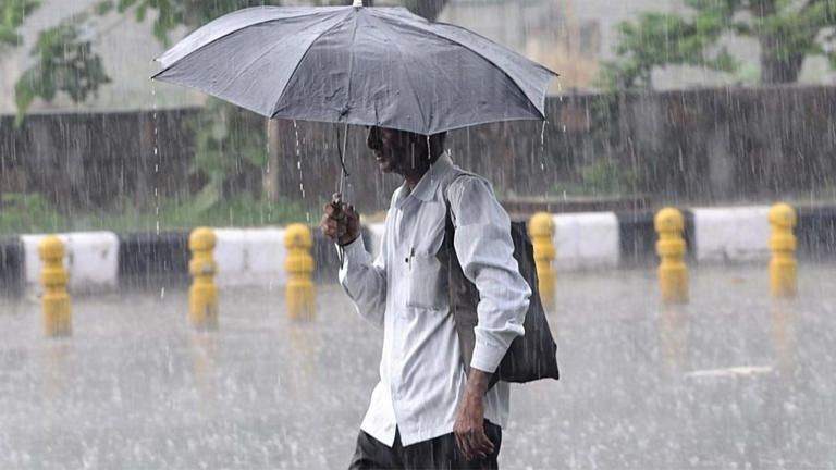 Monsoon in Gujarat : ગુજરાત તરફ આગળ વધી મેઘરાજાની સવારી, 5 દિવસ સુધી કરશે જોરદાર બેટીંગ