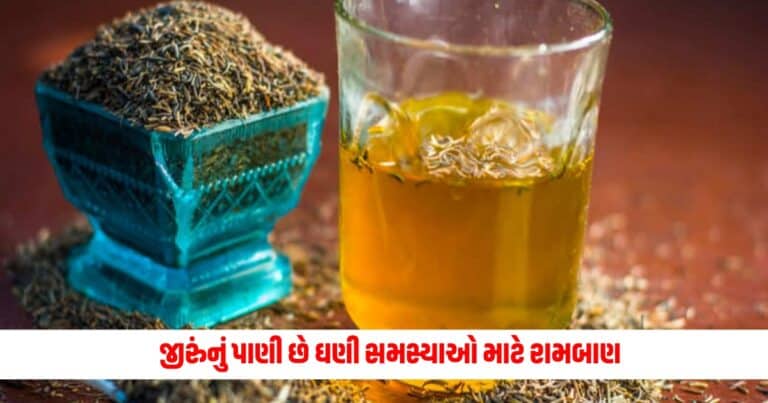 Benefits of Cumin Water : જીરુંનું પાણી છે ઘણી સમસ્યાઓ માટે રામબાણ, જાણો તેને પીવાના અનેક ફાયદા