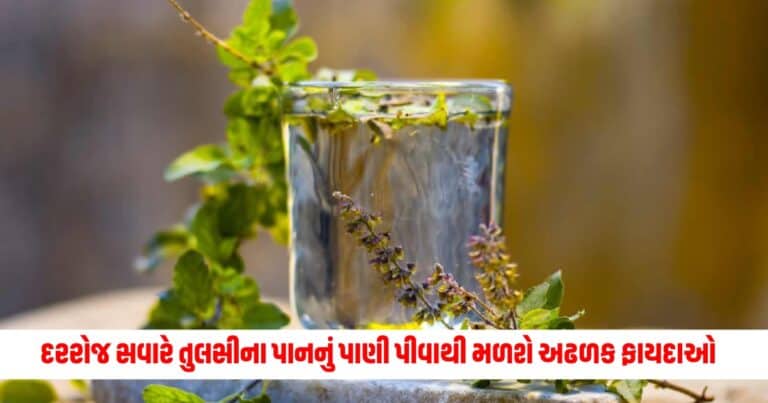 Benefits Of Tulsi : દરરોજ સવારે તુલસીના પાનનું પાણી પીવાથી મળશે અઢળક ફાયદાઓ