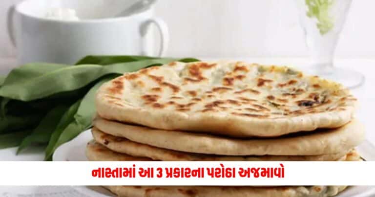 Breakfast Recipes : માત્ર બટેટા અને ડુંગળીના જ નહીં નાસ્તામાં આ 3 પ્રકારના પરોઠા અજમાવો