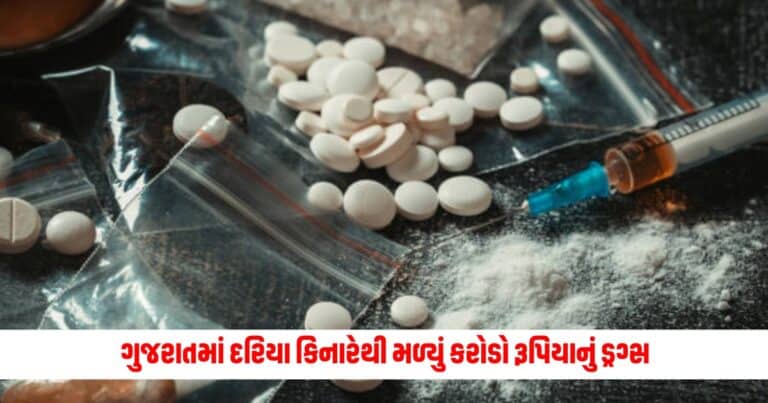 Drugs Seized : ગુજરાતમાં દરિયા કિનારેથી મળ્યું કરોડો રૂપિયાનું બિન વારસી હાલતમાં ડ્રગ્સ, આ દેશો સાથે જોડાયેલા છે તાર