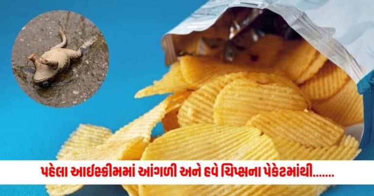 Jamnagar News : આમાં ખાવું તો ખાવું શું! પહેલા આઈસ્ક્રીમમાં આંગળી અને હવે ચિપ્સના પેકેટમાંથી......., અપાયા તપાસના આદેશ