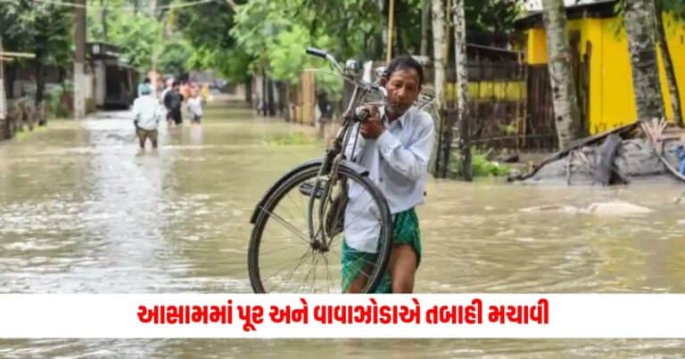 Assam Flood: આસામમાં પૂર અને વાવાઝોડાએ તબાહી મચાવી, અત્યાર સુધીમાં લીધો 15 લોકોનો જીવ