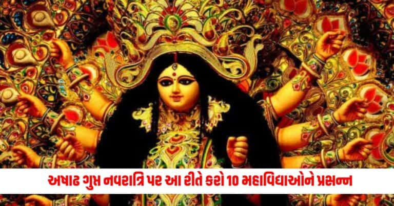 Gupt Navratri 2024: અષાઢ ગુપ્ત નવરાત્રિ પર આ રીતે કરો 10 મહાવિદ્યાઓને પ્રસન્ન, અધૂરી મનોકામનાઓ પૂર્ણ થશે