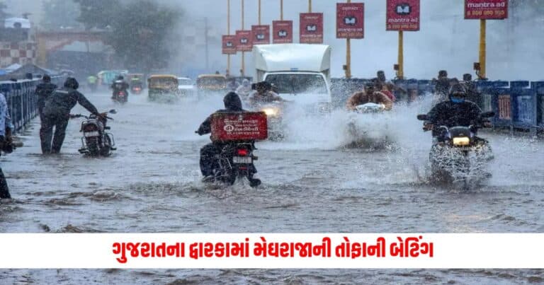 Gujarat Heavy Rain: ગુજરાતના દ્વારકામાં મેઘરાજાની તોફાની બેટિંગ, ભારે વરસાદના કારણે અનેક જગ્યાએ ભરાયા પાણી