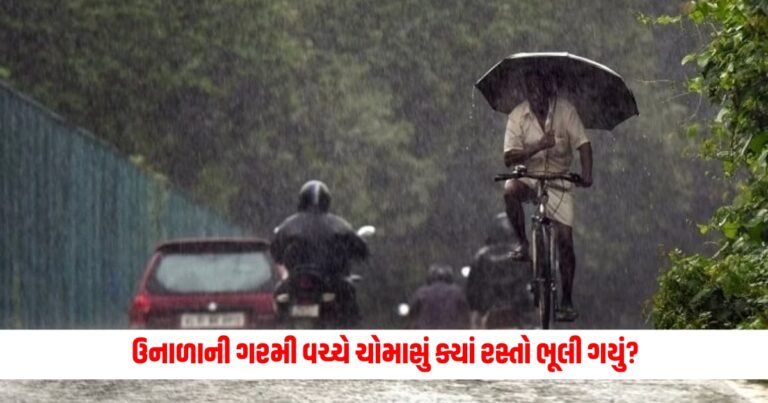 National News : મન મૂકીને તપાવી રહી છે ગરમી! ઉનાળાની ગરમી વચ્ચે ચોમાસું ક્યાં રસ્તો ભૂલી ગયું? આ મહિને વરસાદમાં થયો આટલો ઘટાડો