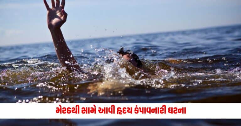 Meerut News : મેરઠથી સામે આવી હૃદય કંપાવનારી ઘટના, નિર્દય પિતાએ તેની બે વર્ષની માસૂમ બાળકીની કરી એવી હાલત કે રુવાડા ઉભા થઇ જશે