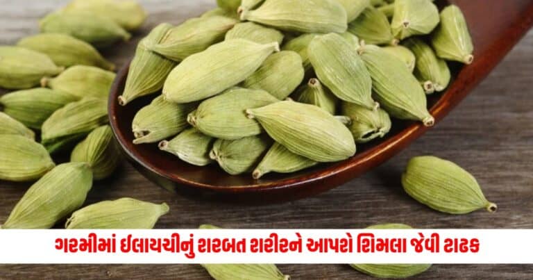 Elaichi Ka Sharbat: કાળઝાળ ગરમીમાં ઈલાયચીનું શરબત શરીરને આપશે શિમલા જેવી ટાઢક, આ સરળ રેસિપીથી ઝડપથી તૈયાર કરો