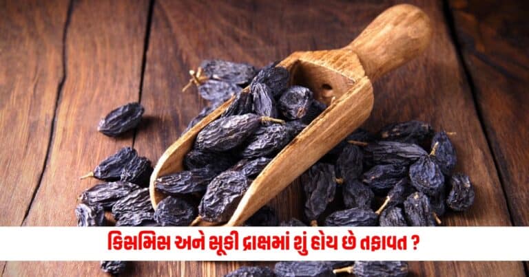 Raisins VS Munakka : કિસમિસ અને સૂકી દ્રાક્ષમાં શું હોય છે તફાવત ?