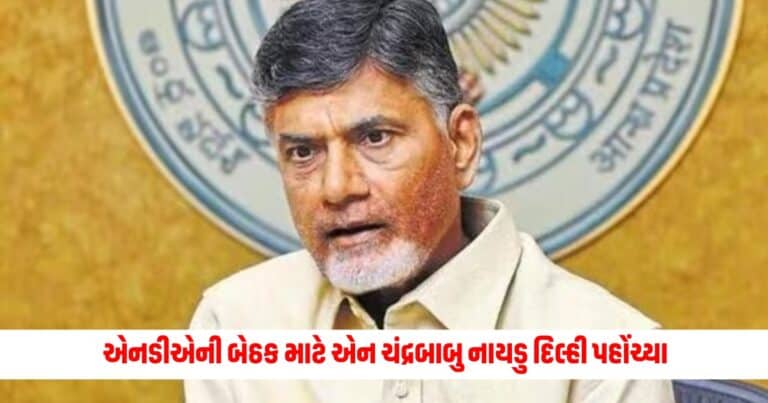 N Chandrababu Naidu : રાજકારણમાં હલચલ તેજ! એનડીએની બેઠક માટે એન ચંદ્રબાબુ નાયડુ દિલ્હી પહોંચ્યા