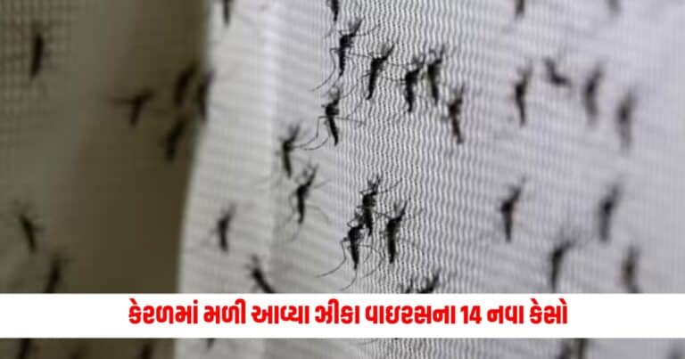 Latest National news, zika virus update, live national update, india latest news, india live news, zika virus live update, zika virus news