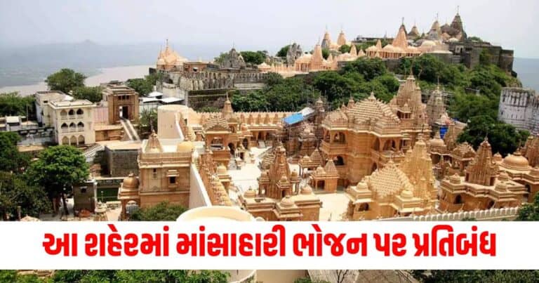 Gujarat Latest Gujarat update, live Gujarat news, Gujarat news, Gujarat samchaar, todays latest Gujarat news, gujarati samchaar, Gujarat, Gujarat news, current Gujarat update, Gujarat headline, shantishram, Gujarat update 2024,