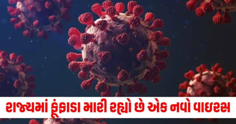 Gujarat, Latest Gujarat update, live Gujarat news, Gujarat news, Gujarat samchaar, todays latest Gujarat news, gujarati samchaar, Gujarat, Gujarat news, current Gujarat update, Gujarat headline, shantishram, Gujarat update 2024,