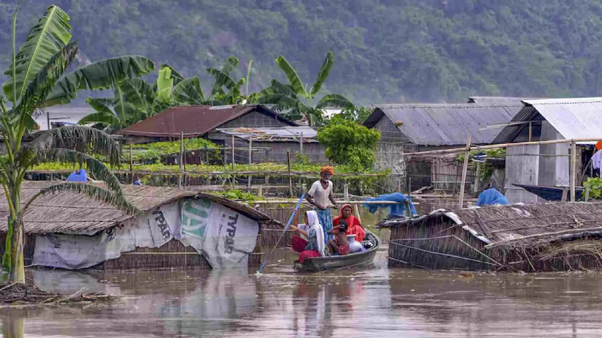 Flood in Assam: આસામમાં પૂરે વેર્યો ચારે બાજુ વિનાશ, કાઝીરંગામાં 137 જંગલી પ્રાણીઓના મોત