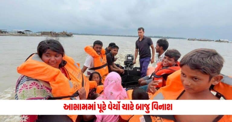 Flood in Assam: આસામમાં પૂરે વેર્યો ચારે બાજુ વિનાશ, કાઝીરંગામાં 137 જંગલી પ્રાણીઓના મોત