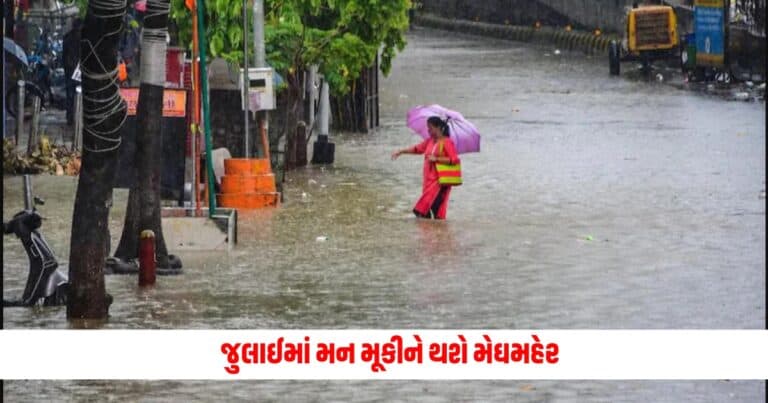 gujarat weather update, weather latest news, gujarat monsoon alert news, monsoon latest update, gujarat monsoon alerts 2024, gujarat weather live updates, monsoon alerts, weather news, weather updates,