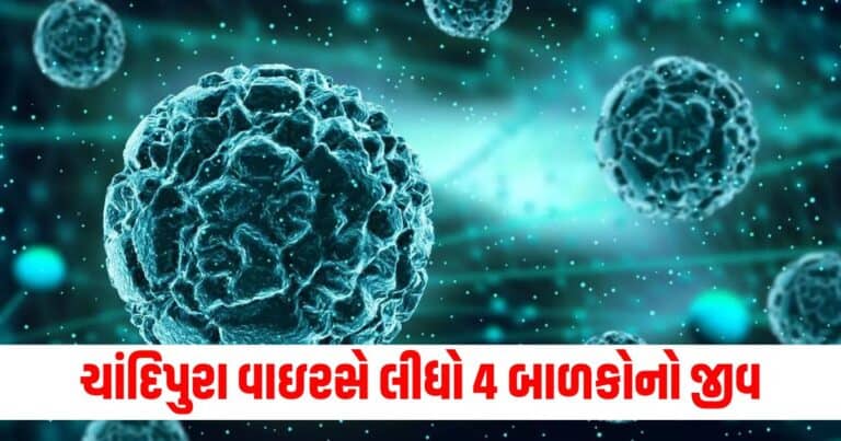 Latest Gujarat update, live Gujarat news, Gujarat news, Gujarat samchaar, todays latest Gujarat news, gujarati samchaar, Gujarat, Gujarat news, current Gujarat update, Gujarat headline, shantishram, Gujarat update 2024,