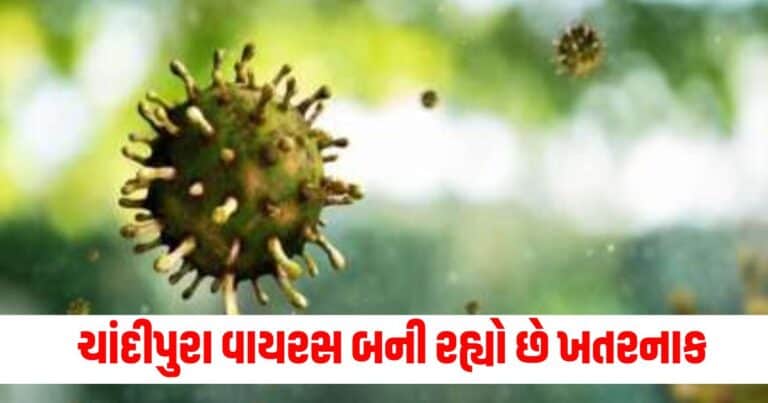 Chandipura Virus, Latest Gujarat update, live Gujarat news, Gujarat news, Gujarat samchaar, todays latest Gujarat news, gujarati samchaar, Gujarat, Gujarat news, current Gujarat update, Gujarat headline, Gujarat update 2024,