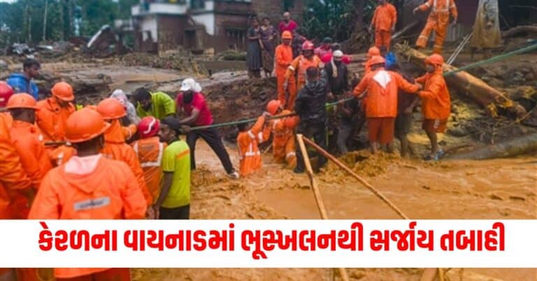 Wayanad Landslide , india news, india news in gujarati, latest news india, india news today, national news, latest news national, national news today, national news in gujarati, top news in india, breaking news india, india news today, news today india, current news in india, india news online, latest news india today, news update india, news headlines india, breaking news india today, bharat, bharat news, latest news india today